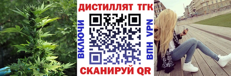 Купить где  Верещагино  ТГК концентрат 